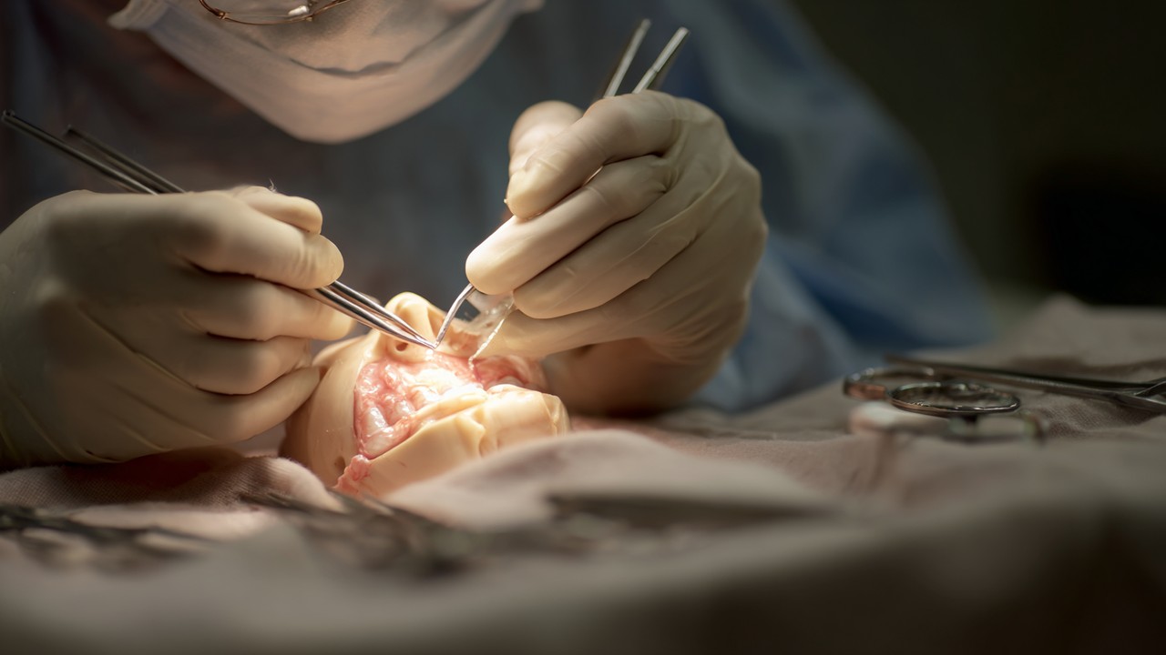 Medicinale professional die nauwkeurig een neustamemodel bewerkt met gespecialiseerde instrumenten in een schone klinische omgeving.